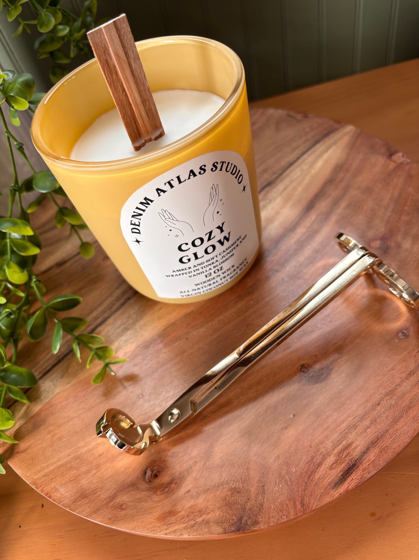 Candle Wick Trimmers